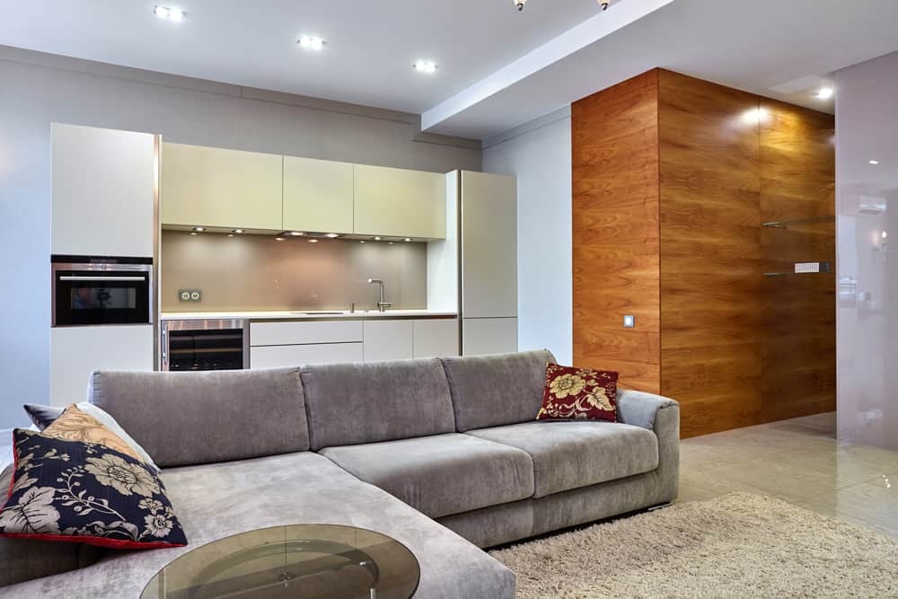 Open kitchen and living guest suite with a wood accent wall